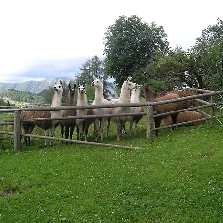 Hétvégi ház Berg-panorama-hof Sturmgut *