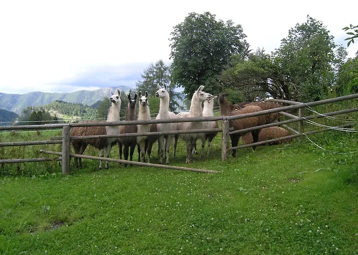Hétvégi ház Berg-panorama-hof Sturmgut *