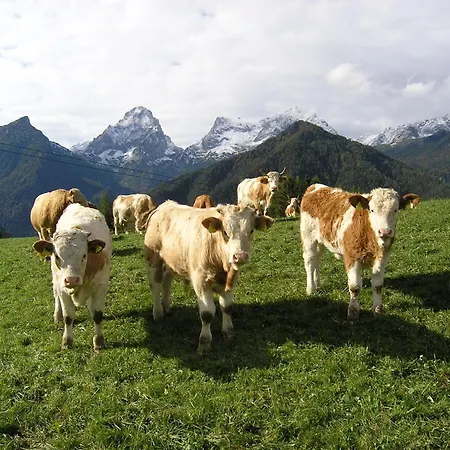 カントリーハウス Berg-panorama-hof Sturmgut ヒンターシュトダー