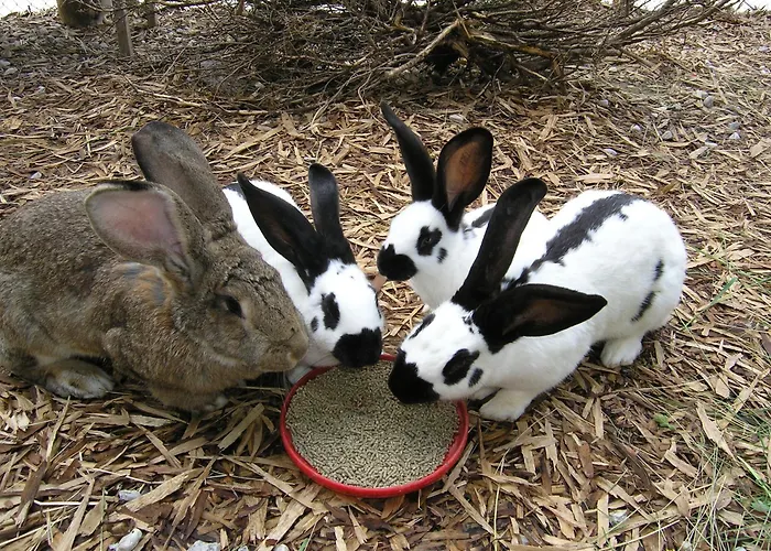 Landsted Berg-panorama-hof Sturmgut